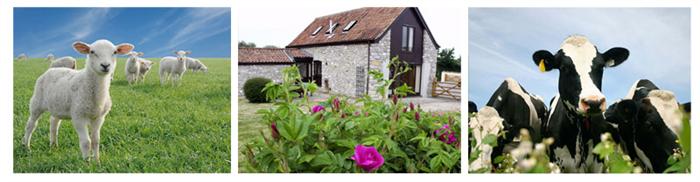 Self Catering Holiday Cottages in Weston-super-Mare