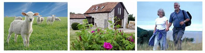 Self Catering Holiday Cottages in Weston-super-Mare